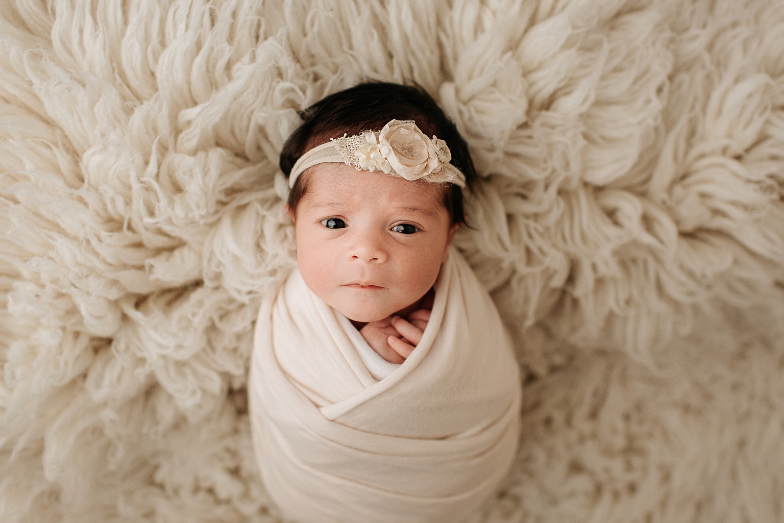 newborn portrait photography